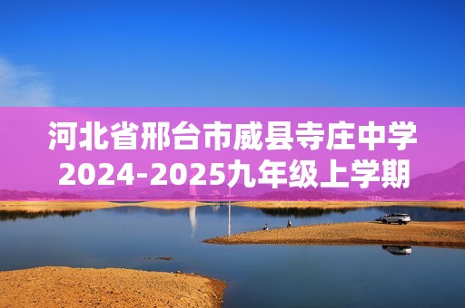 河北省邢台市威县寺庄中学2024-2025九年级上学期11月期中考试化学试题（答案）