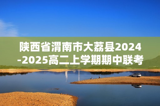 陕西省渭南市大荔县2024-2025高二上学期期中联考 化学试题（无答案）