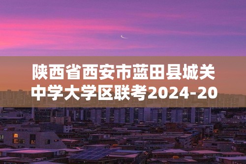 陕西省西安市蓝田县城关中学大学区联考2024-2025高一上学期11月期中考试 化学试题（答案）