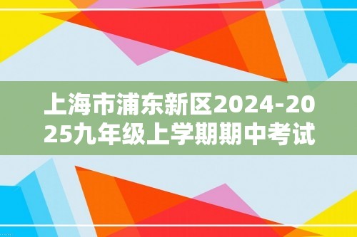 上海市浦东新区2024-2025九年级上学期期中考试化学试卷（无答案）