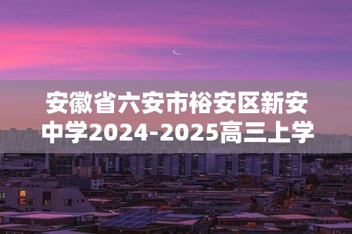 安徽省六安市裕安区新安中学2024-2025高三上学期第二次月考 化学试卷（答案）