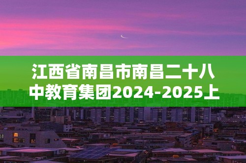 江西省南昌市南昌二十八中教育集团2024-2025上学期期中测试卷九年级化学试卷（答案）