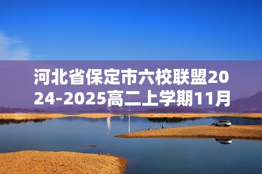 河北省保定市六校联盟2024-2025高二上学期11月期中联考 化学试题（答案）