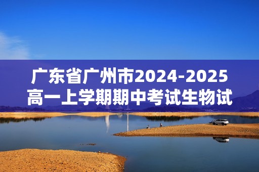 广东省广州市2024-2025高一上学期期中考试生物试卷（答案）