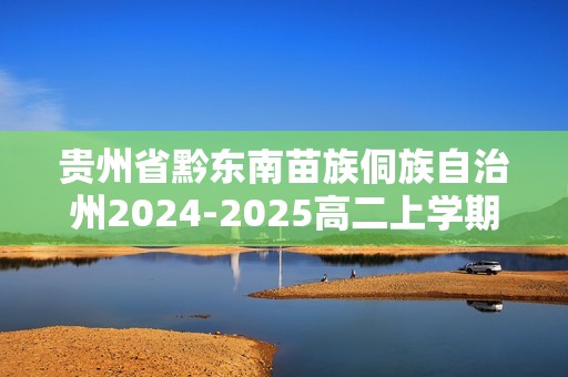 贵州省黔东南苗族侗族自治州2024-2025高二上学期11月期中考试生物试题（含解析）