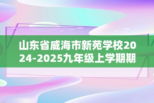 山东省威海市新苑学校2024-2025九年级上学期期中检测化学试题（答案）