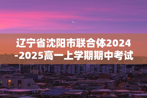 辽宁省沈阳市联合体2024-2025高一上学期期中考试 化学试卷（含解析）