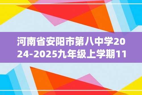 河南省安阳市第八中学2024-2025九年级上学期11月期中考试化学试题(图片版,含答案)