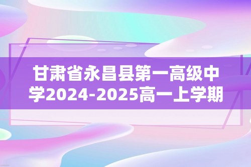 甘肃省永昌县第一高级中学2024-2025高一上学期期中考试化学试卷（含解析）