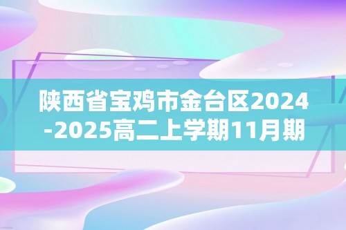 陕西省宝鸡市金台区2024-2025高二上学期11月期中化学试题（答案）