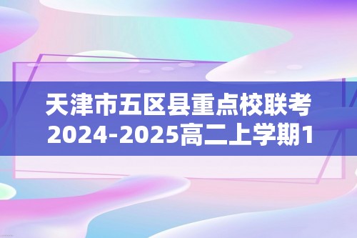 天津市五区县重点校联考2024-2025高二上学期11月期中化学试题（答案）