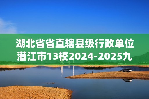 湖北省省直辖县级行政单位潜江市13校2024-2025九年级上学期11月联考化学试题(答案)