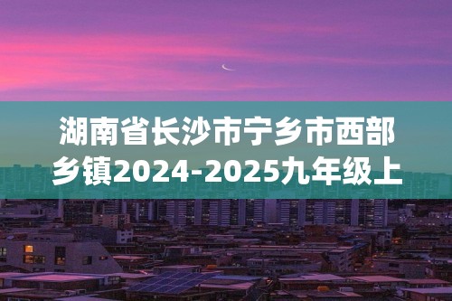 湖南省长沙市宁乡市西部乡镇2024-2025九年级上学期11月期中联考化学试题(答案)