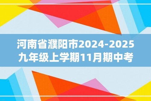 河南省濮阳市2024-2025九年级上学期11月期中考试化学试题（图片版含答案)