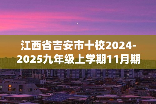 江西省吉安市十校2024-2025九年级上学期11月期中考试化学试题（图片版含答案)