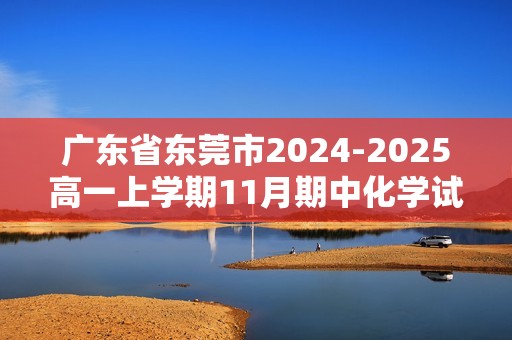 广东省东莞市2024-2025高一上学期11月期中化学试题（答案）