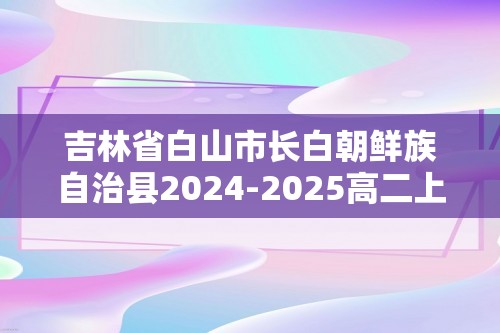 吉林省白山市长白朝鲜族自治县2024-2025高二上学期11月期中考试 化学试题（无答案）