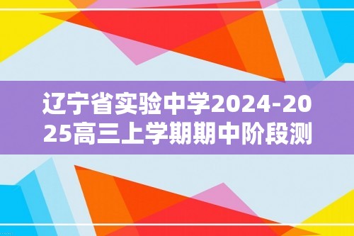 辽宁省实验中学2024-2025高三上学期期中阶段测试化学试题（答案）