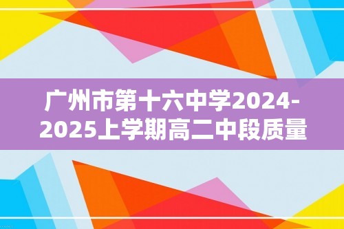 广州市第十六中学2024-2025上学期高二中段质量检测化学试卷（无答案）