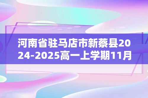 河南省驻马店市新蔡县2024-2025高一上学期11月月考 化学试题（答案）