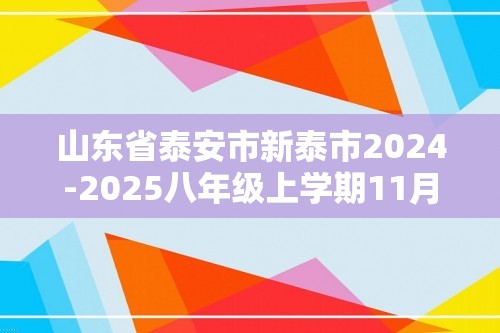 山东省泰安市新泰市2024-2025八年级上学期11月期中化学试题（图片版含答案）