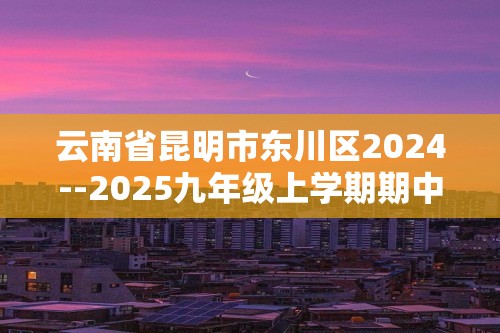 云南省昆明市东川区2024--2025九年级上学期期中检测化学试题（图片版含答案）