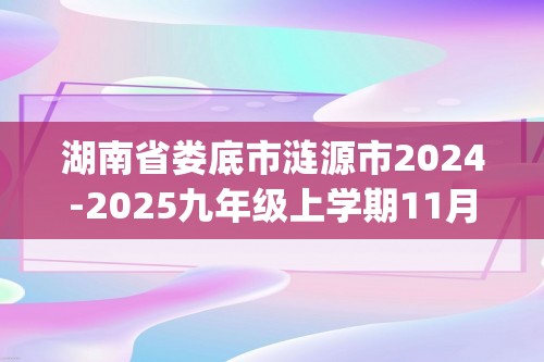 湖南省娄底市涟源市2024-2025九年级上学期11月期中化学试题(答案)