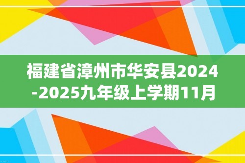 福建省漳州市华安县2024-2025九年级上学期11月期中考试化学试题（含答案)