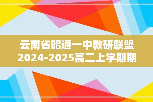 云南省昭通一中教研联盟2024-2025高二上学期期中质量检测化学试题（B卷）（答案）