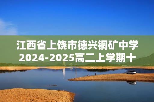 江西省上饶市德兴铜矿中学2024-2025高二上学期十一月检测化学试卷（答案）