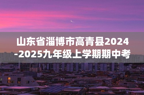 山东省淄博市高青县2024-2025九年级上学期期中考试化学试题(图片版,含答案)