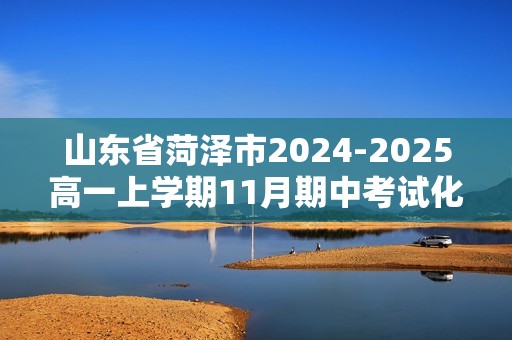 山东省菏泽市2024-2025高一上学期11月期中考试化学试题（A）（答案）