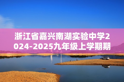 浙江省嘉兴南湖实验中学2024-2025九年级上学期期中考试数学试题（图片版含答案）