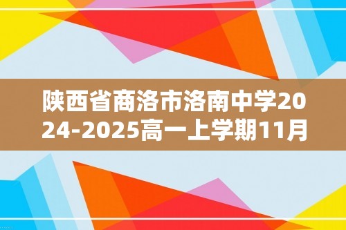 陕西省商洛市洛南中学2024-2025高一上学期11月期中考试化学试题（无答案）