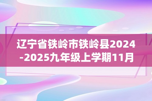 辽宁省铁岭市铁岭县2024-2025九年级上学期11月期中考试化学试题(答案)