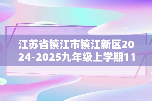 江苏省镇江市镇江新区2024-2025九年级上学期11月期中考试化学试题（图片版含答案）