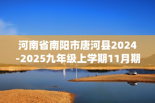 河南省南阳市唐河县2024-2025九年级上学期11月期中考试化学试题(图片版,无答案)