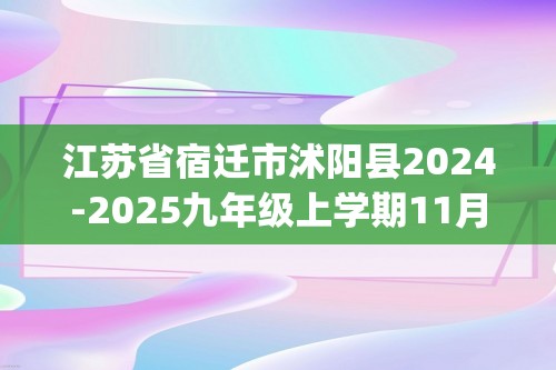 江苏省宿迁市沭阳县2024-2025九年级上学期11月期中考试化学试题(图片版,含答案)