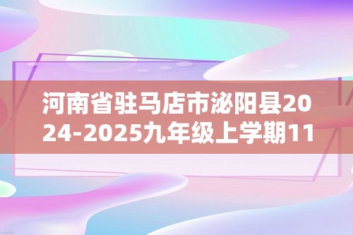 河南省驻马店市泌阳县2024-2025九年级上学期11月期中考试化学试题（图片版含答案）