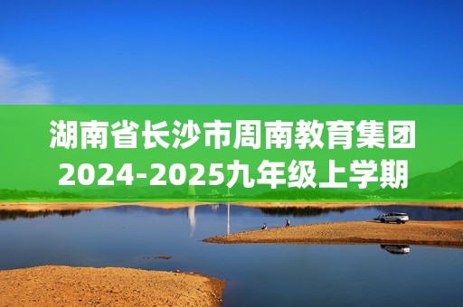 湖南省长沙市周南教育集团2024-2025九年级上学期学科素质诊断（二）化学试题（含答案)