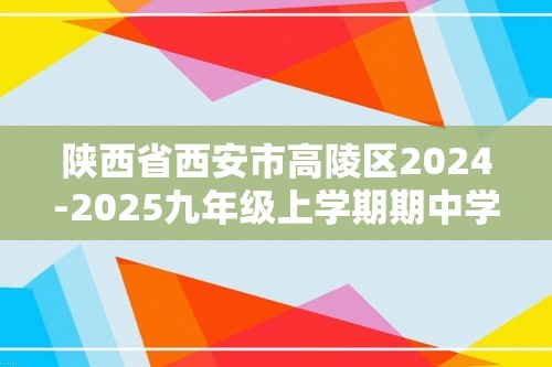 陕西省西安市高陵区2024-2025九年级上学期期中学业水平测试化学试卷（答案）