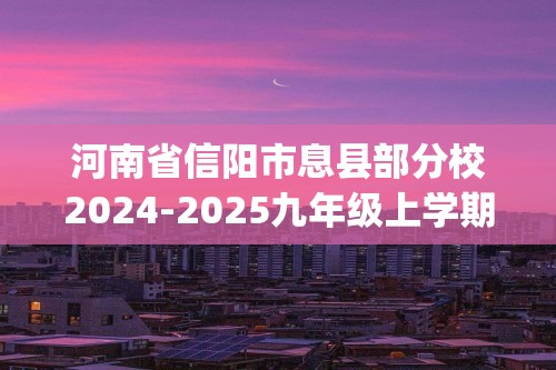 河南省信阳市息县部分校2024-2025九年级上学期11月期中考试化学试题(图片版,含答案)