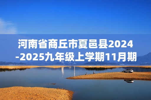 河南省商丘市夏邑县2024-2025九年级上学期11月期中化学试题(图片版,含答案)