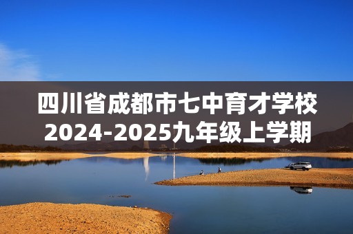 四川省成都市七中育才学校2024-2025九年级上学期期中考试化学试题（答案）