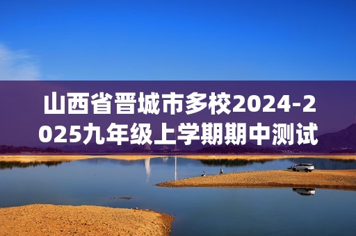 山西省晋城市多校2024-2025九年级上学期期中测试化学试卷(图片版,含答案)