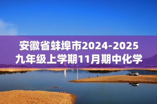 安徽省蚌埠市2024-2025九年级上学期11月期中化学试题(图片版,含答案)