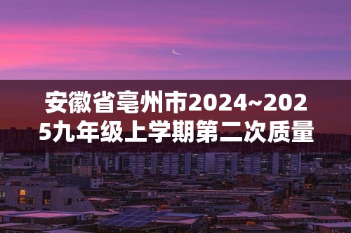 安徽省亳州市2024~2025九年级上学期第二次质量监测化学试卷（含解析）