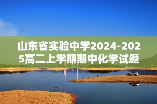 山东省实验中学2024-2025高二上学期期中化学试题（答案）