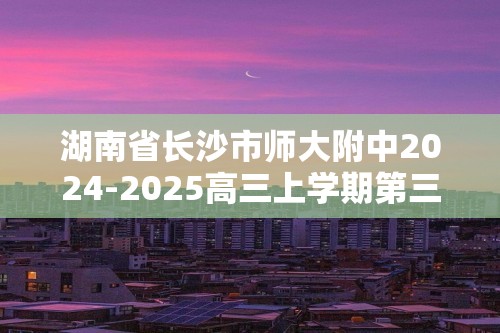 湖南省长沙市师大附中2024-2025高三上学期第三次月考化学试题（答案）