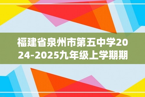 福建省泉州市第五中学2024-2025九年级上学期期中考试化学试卷（图片版含答案)